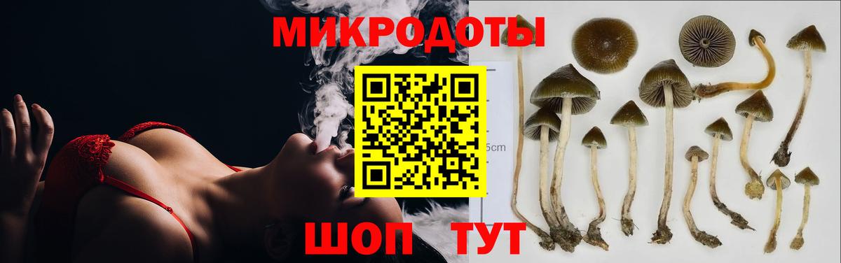 Псилоцибиновые грибы Psilocybe  Галлюциногенные грибы Psilocybe  Серпухов  Вход с VPN 